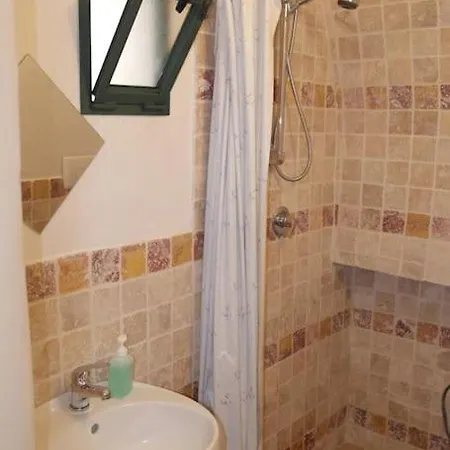 Foglia D'ulivo *